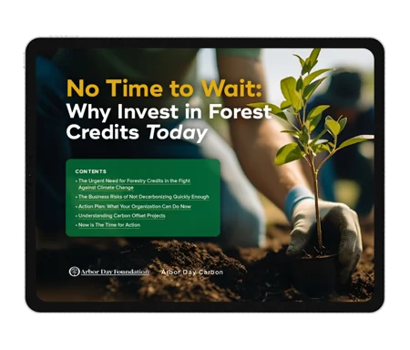 Screenshot of tablet with downloadable guide