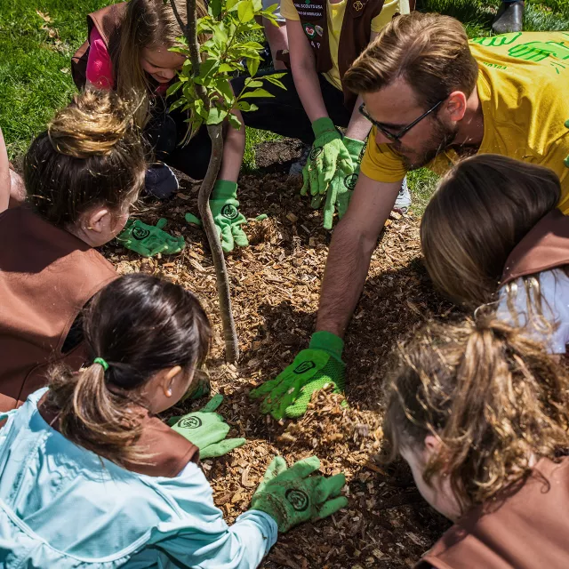 Arbor Day celebration