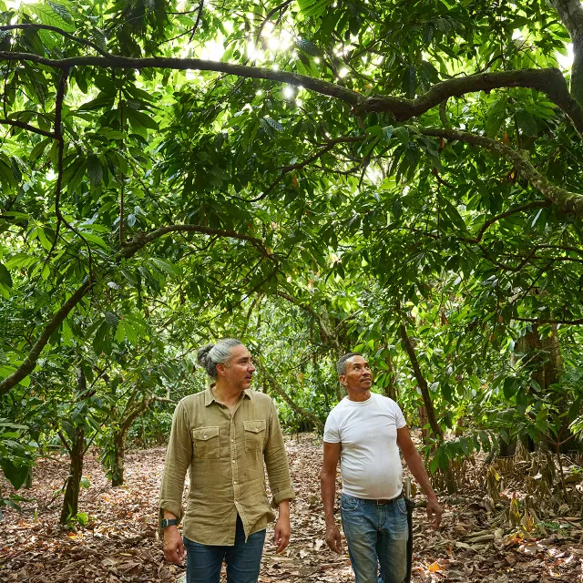 two men walking through dense forest