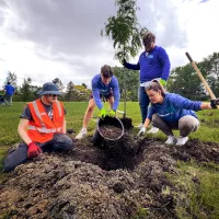 four people in matching shirts planting a tree