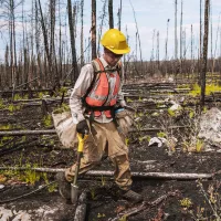 man walking through charred forest