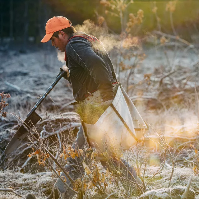 man planting a tree on a cold morning