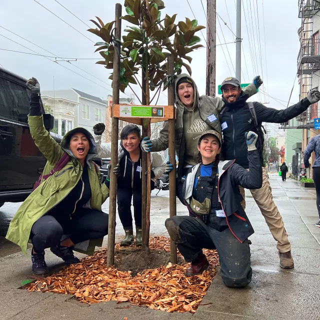 group of people celebrating with a tree on a city street