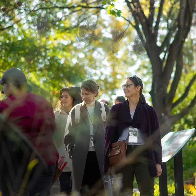 Group of professionals in a greenspace