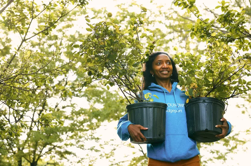 Tree planting partners in Bridgeport, CT