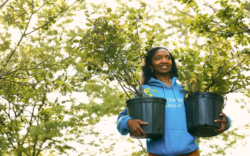 Tree planting partners in Bridgeport, CT