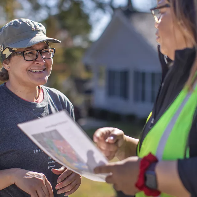 planting instructions