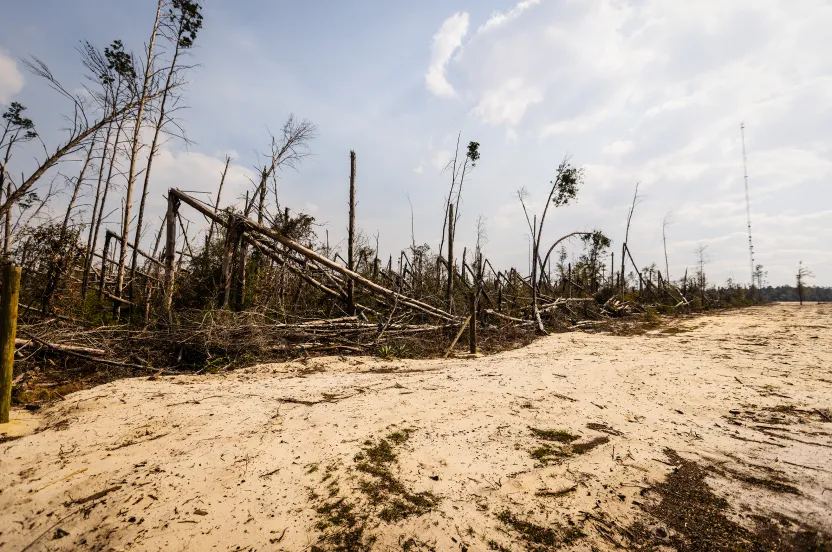 A landscape with a barren, sandy foreground and a background of damaged trees leaning in various directions under a partly cloudy sky.