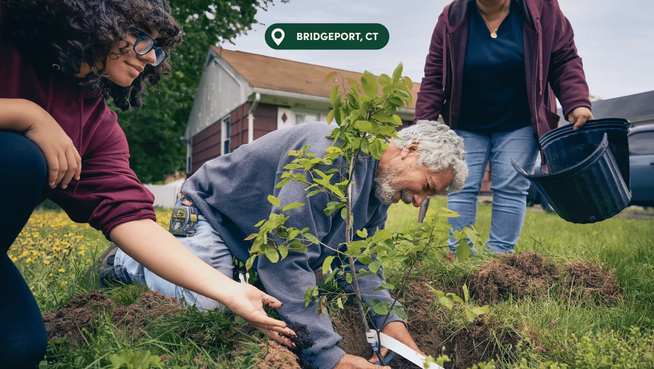 Three people planting a young tree in a garden, with one person adding soil and another holding a pot, set in Bridgeport, CT.