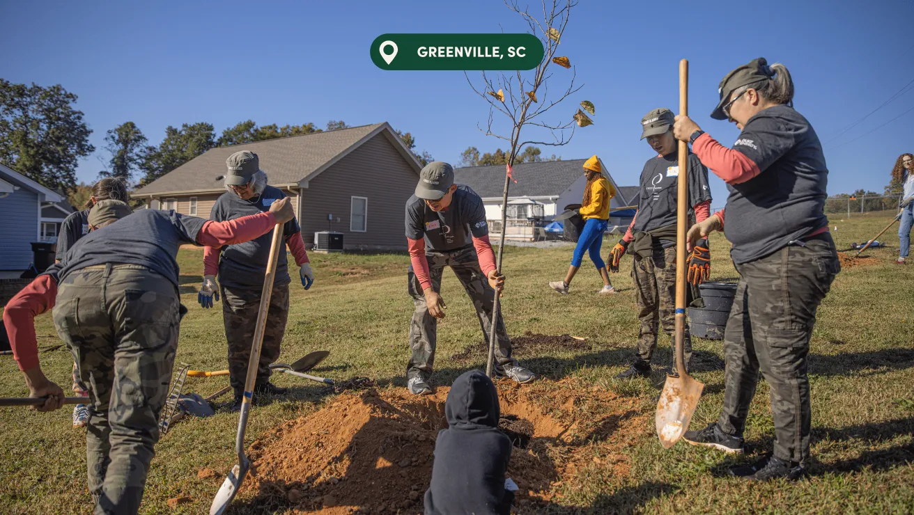 A group of volunteers is planting a tree in a grassy area under clear blue skies in Greenville, SC. Shovels and tools are scattered around.