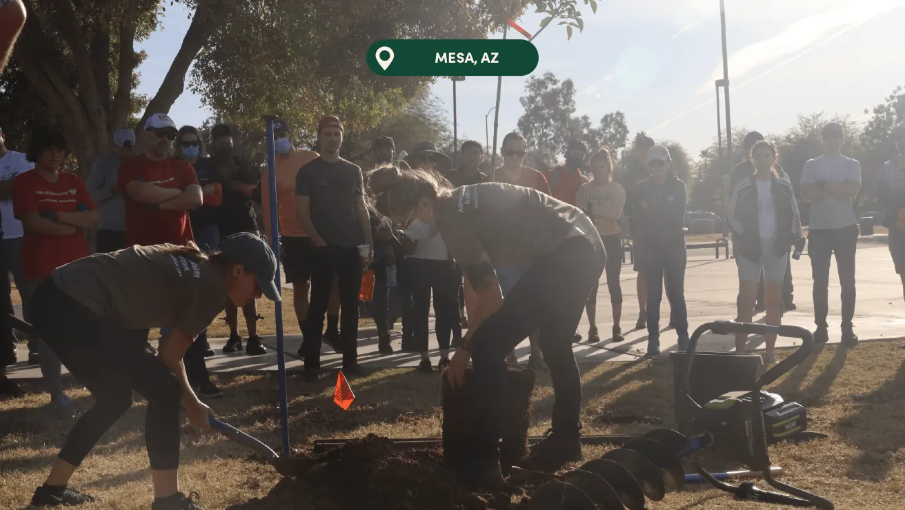 Two individuals actively digging in the ground, surrounded by a group of onlookers in a sunny park setting in Mesa, AZ.