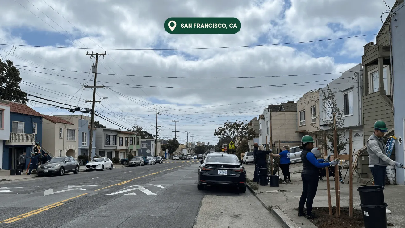 A street in San Francisco with volunteers planting trees and preparing soil, bordered by residential buildings and parked cars.