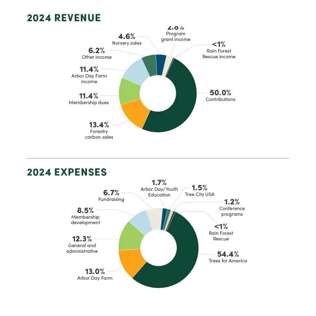 Two pie charts showing breakdown of 2024 revenue and expenses. 