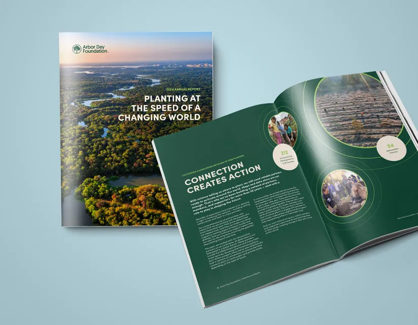 Annual report cover and center spread.