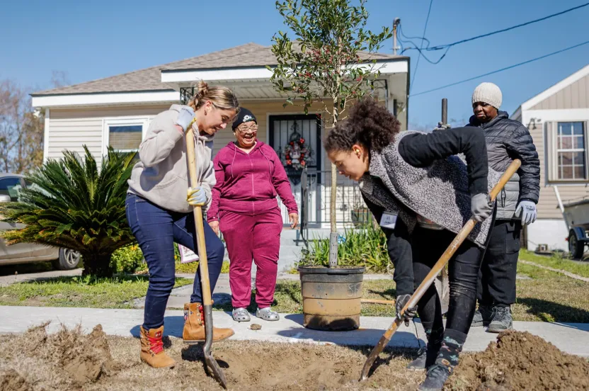 Volunteers work collaboratively to dig in the dirt of the Lower Ninth Ward of New Orleans to replant trees lost to Hurricane Katrina.