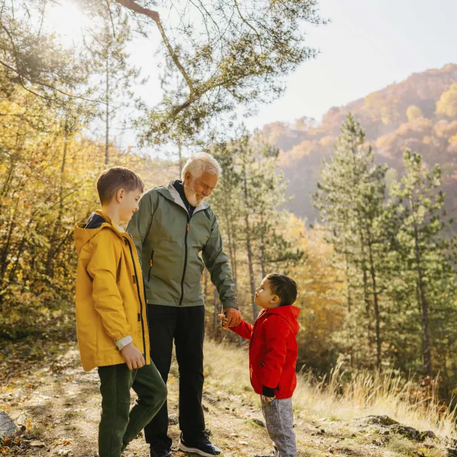 people walking in a forest