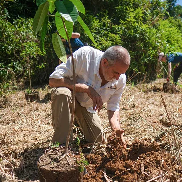A man kneels in a sunlit field, gently planting a young tree while surrounded by lush greenery and others engaged in similar activities.