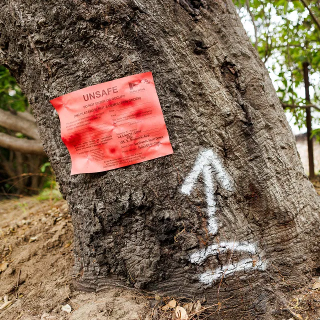 A tree trunk displays a red "Unsafe" notice and a white arrow indicating caution or danger.