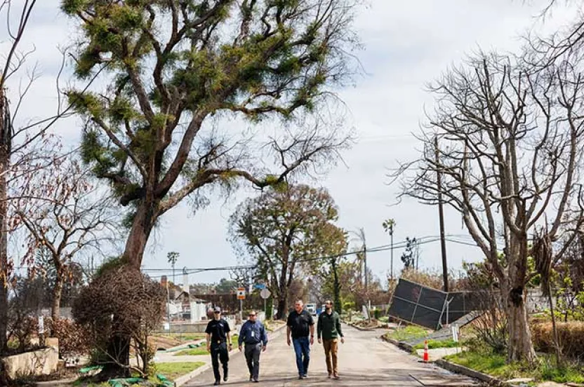 Four men walk down a deserted street lined with barren trees, indicating recent natural devastation. A large tree looms above them.