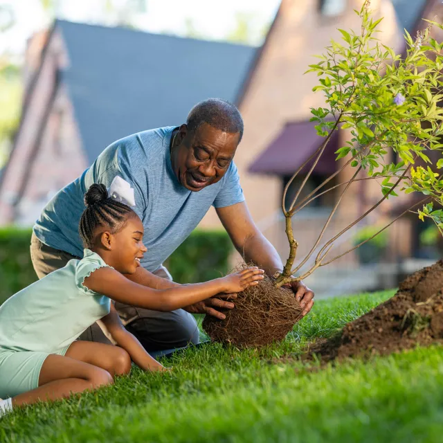 A child and adult kneel together, planting a young tree in lush green grass under sunlight, showcasing a nurturing gardening moment.