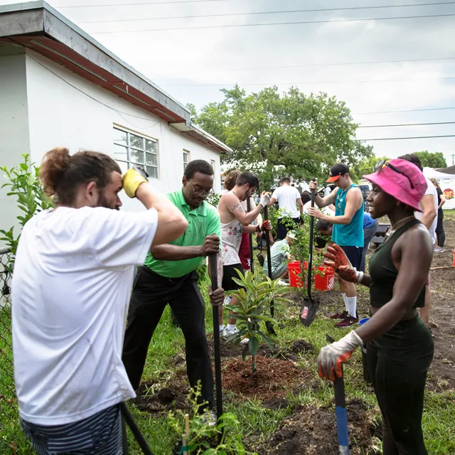 A group of diverse individuals are planting trees and tending to a garden in a community beautification project behind a house.