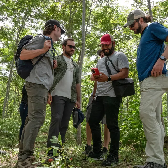 team of carbon experts