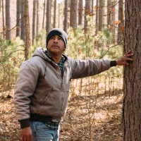 man touching tree and looking up at forest
