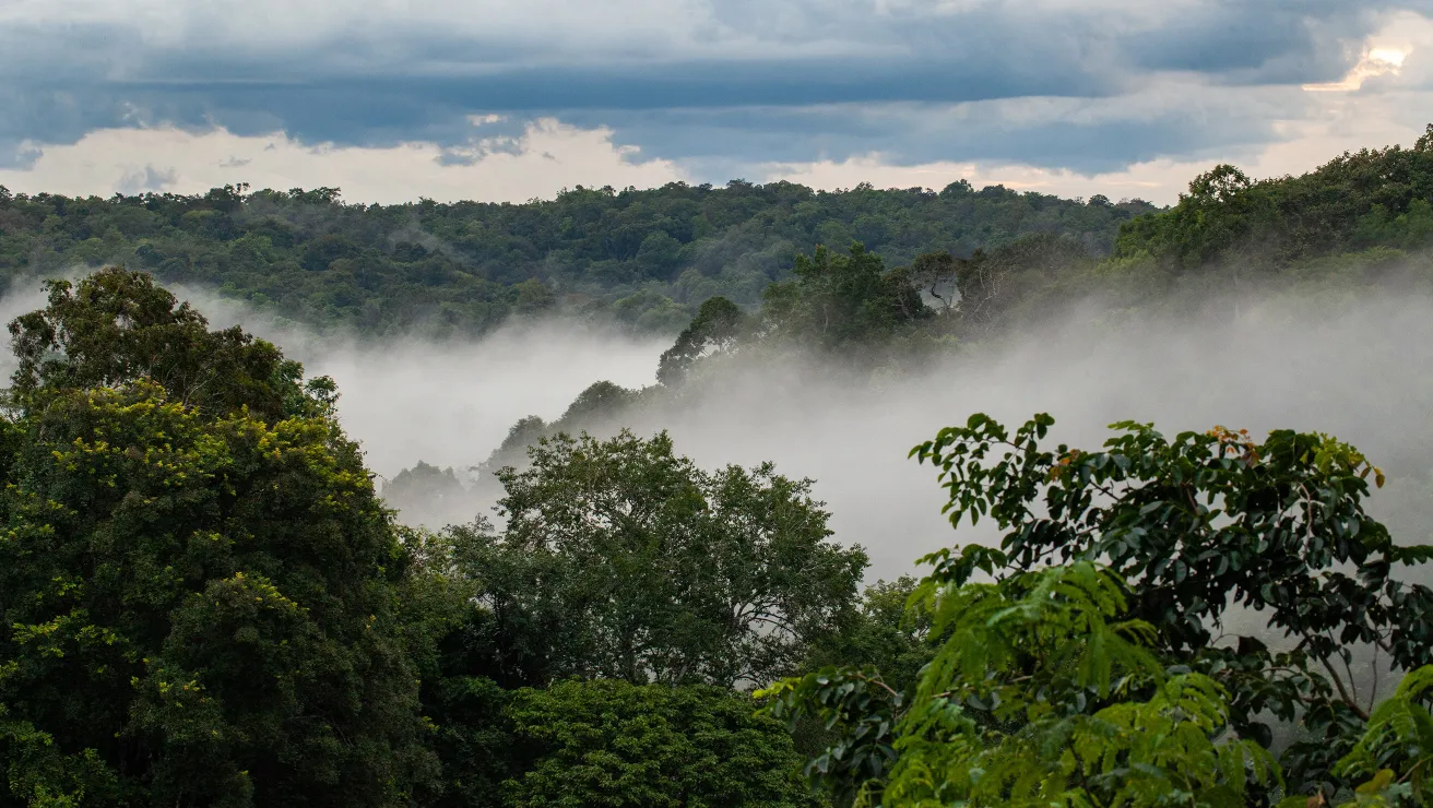 aerial view of Keo Seima Wildlife preserve with mist of trees, photo credit: Everlande, WCS