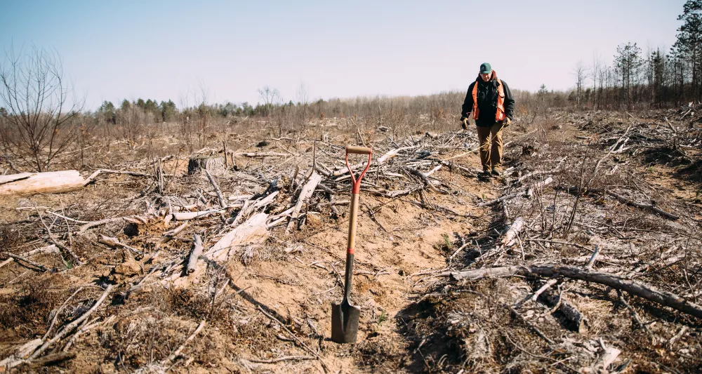 man reforesting land