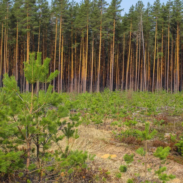 early project funding