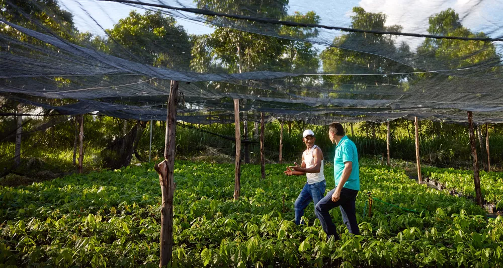 nursery partners walking