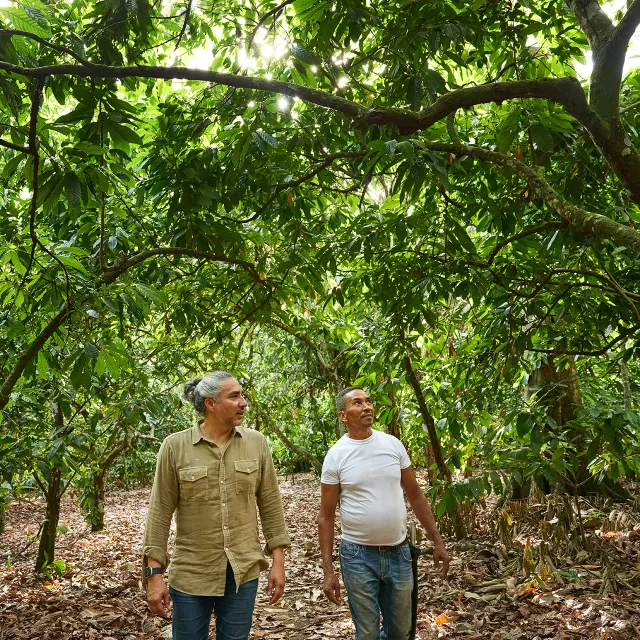 partners walking forest