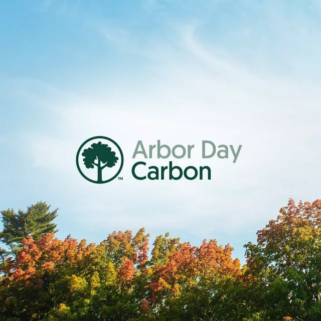 Arbor Day Carbon Logo