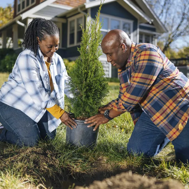 people planting a tree outside of a house