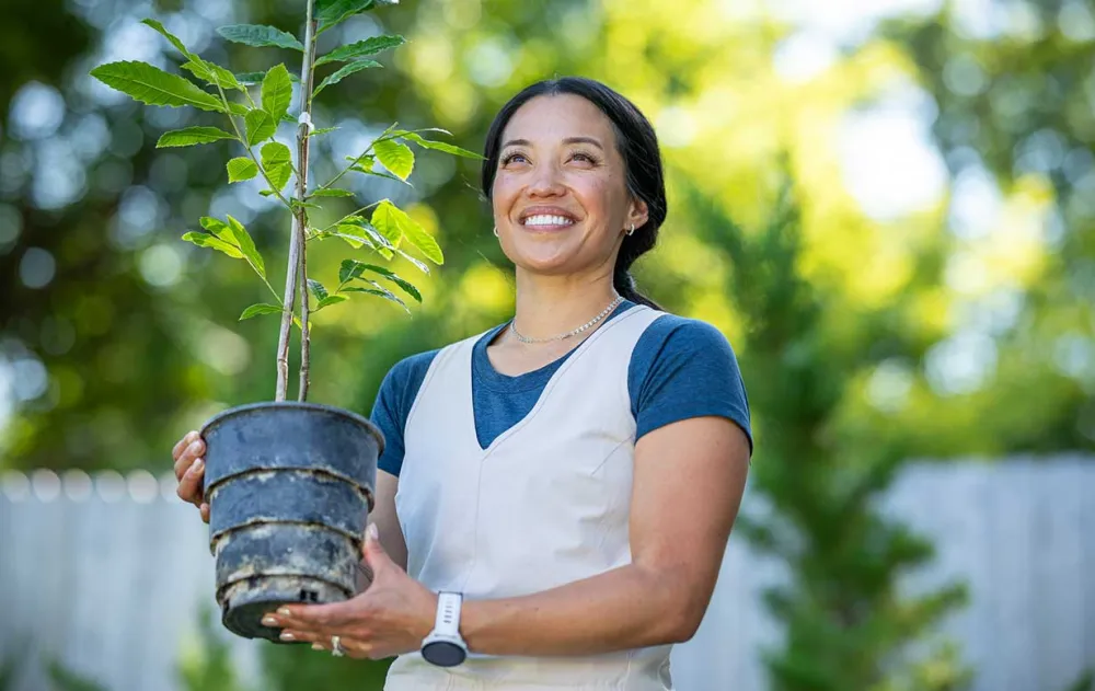 A person holds a potted sapling in a garden, surrounded by lush greenery and bright, natural light.