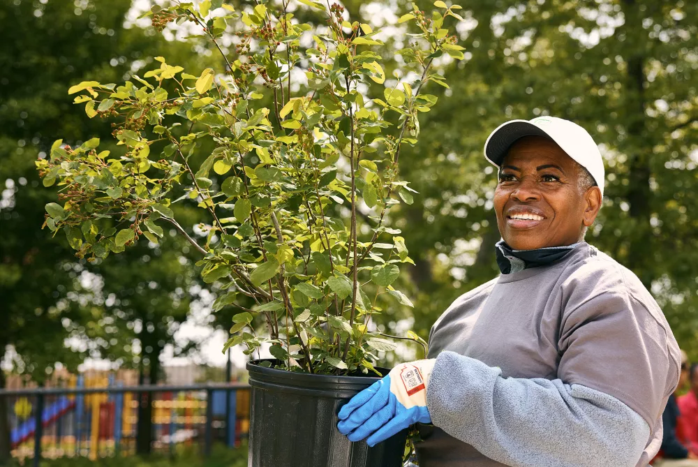 woman carrying a tree