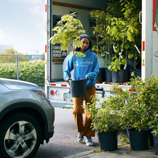 Woman unloading trees from truck