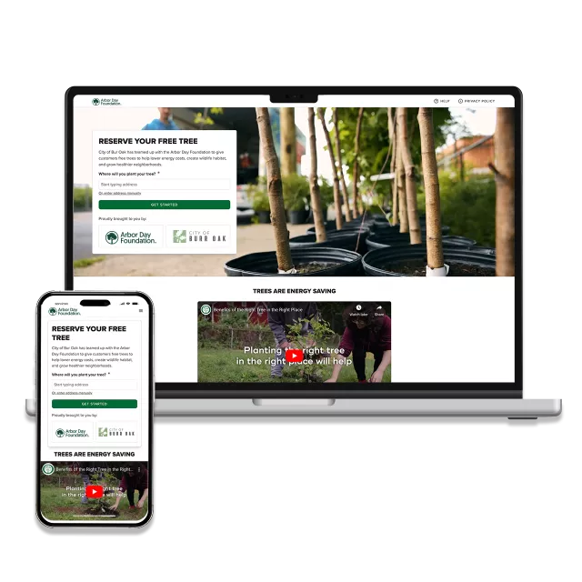 laptop and mobile view of online tree distribution platform