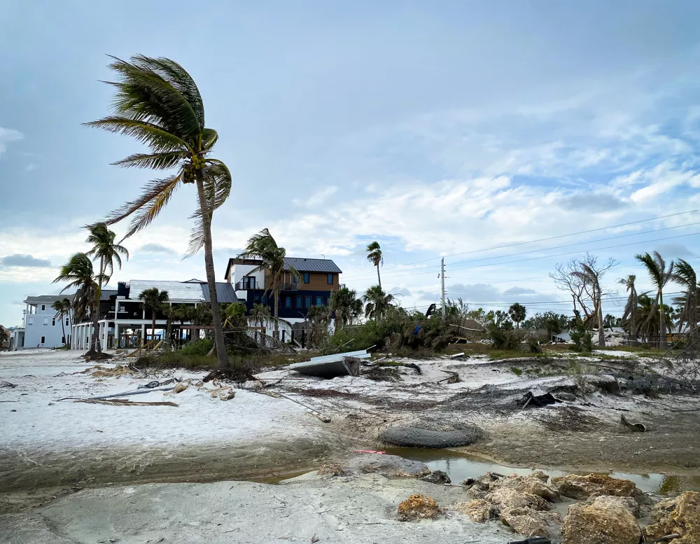hurricane damage on trees