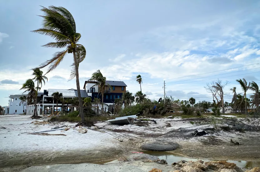 hurricane damage on trees