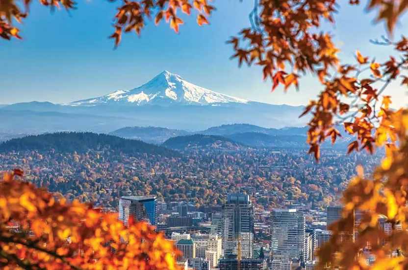A view of Portland's skyline framed by autumn leaves, with snow-capped Mount Hood rising majestically in the background.