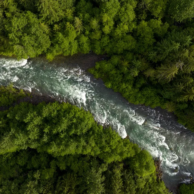 Aerial view of a winding river surrounded by dense green foliage and trees, highlighting the beauty of a natural landscape.