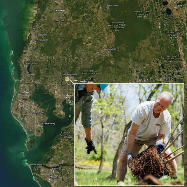Aerial map of central Florida highlighting Tampa Bay area, with a close-up of volunteers planting trees in a green landscape.