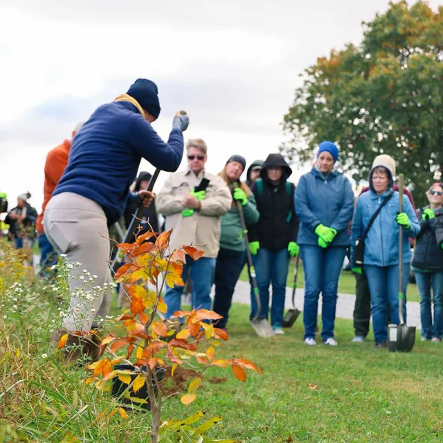 A diverse group of people in green gloves gathers to learn about planting, with shovels and a small tree in the foreground.