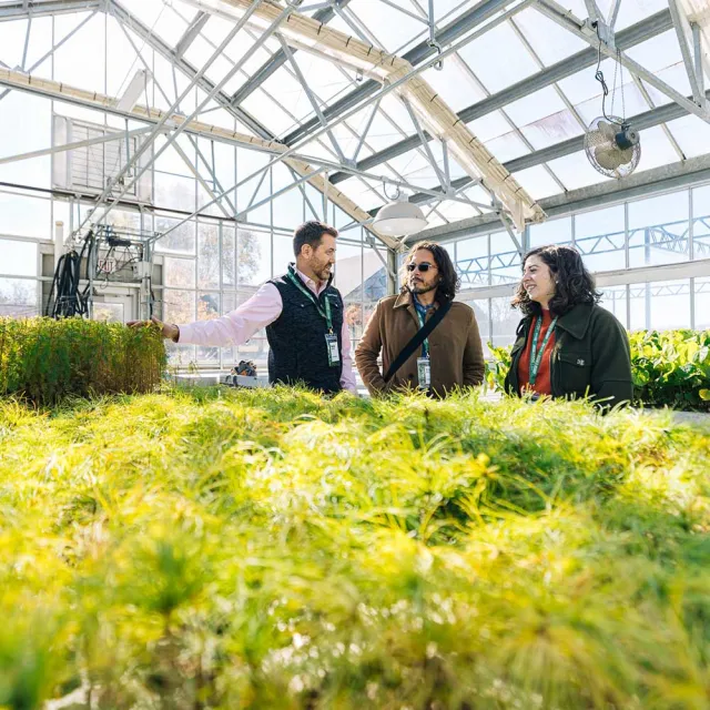 Three people converse inside a sunlit greenhouse, surrounded by lush green plants.