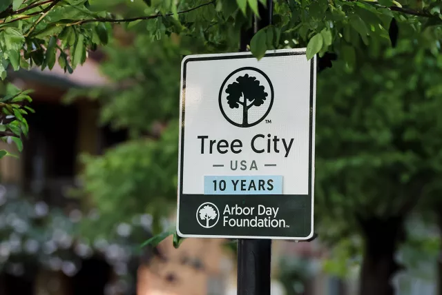 Tree City USA Sign