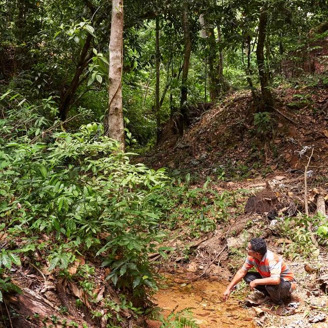 Environmental impact