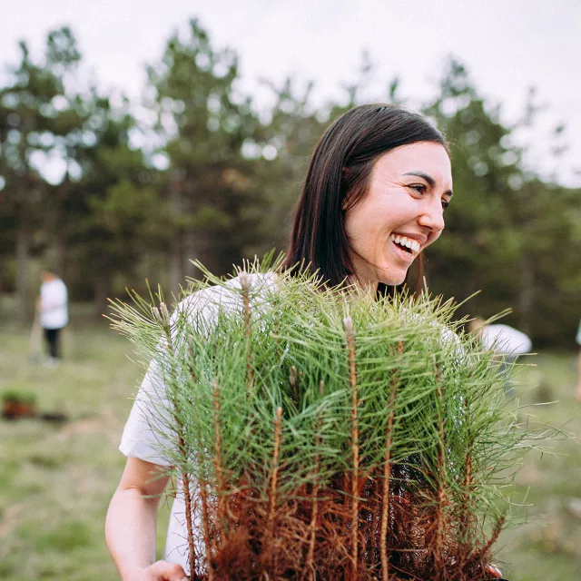 innovative partnerships