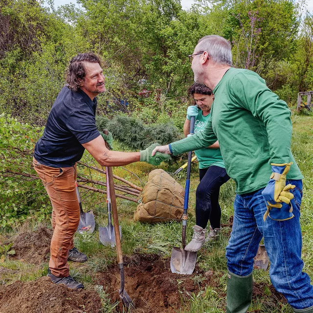 handshake at tree planting