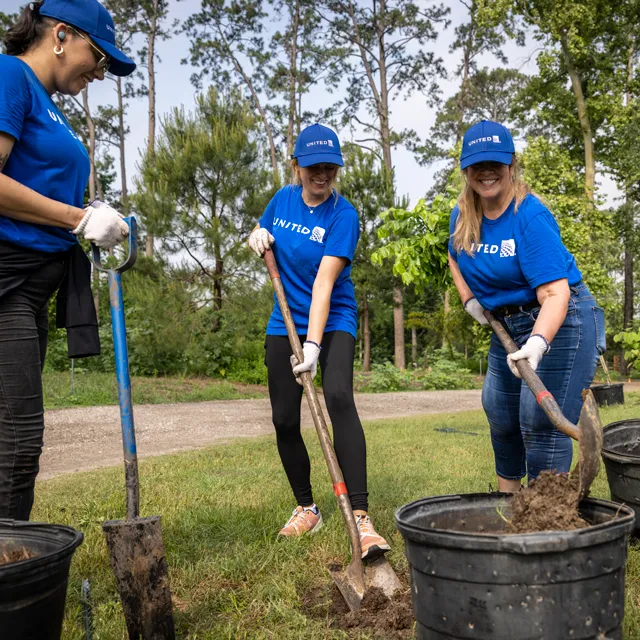 Three volunteers in blue shirts and gloves dig in the ground beside black planting buckets, surrounded by trees and greenery.